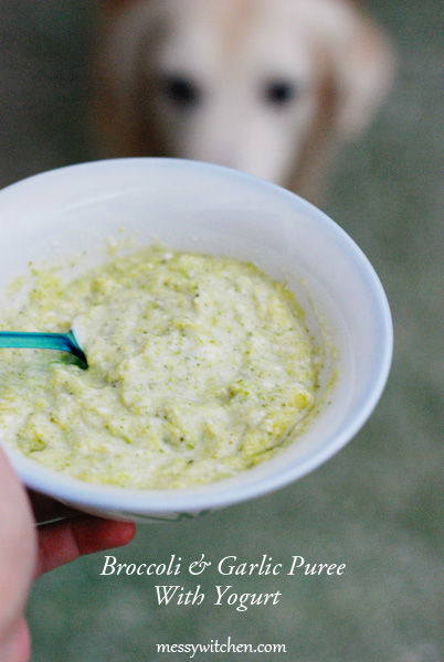 Broccoli & Garlic Puree With Yogurt For Dogs